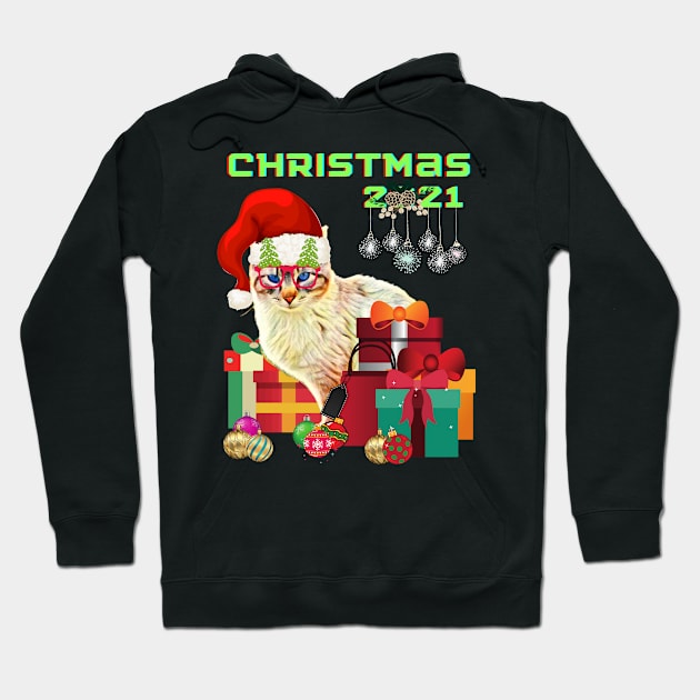 Merry Christmas 2021, Cat with a hat, Christmas gift Hoodie by BeatyinChaos